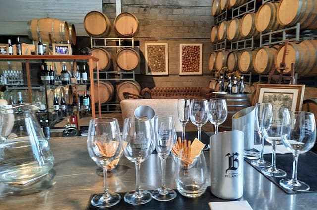 Uco Valley Day Wine Tour with Private Driver