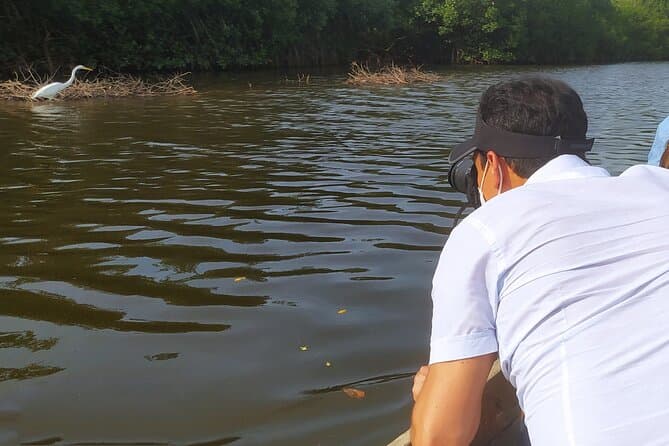 Unforgettable Eco-Adventures: Cartagena Mangrove Tours