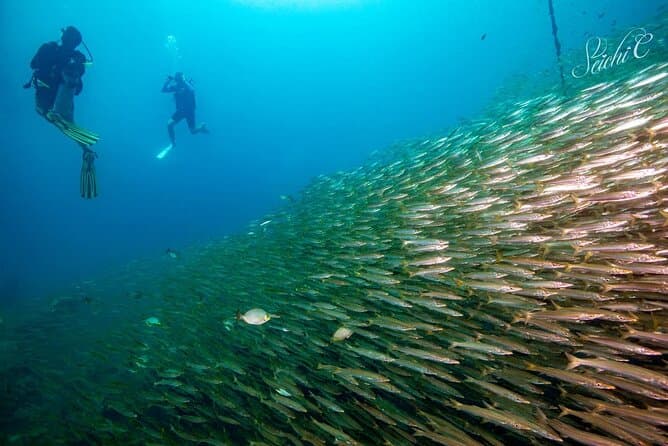 Best Scuba Diving Adventures at Racha Yai Island, Phuket