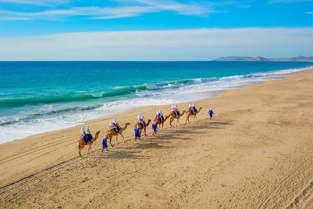 Boat Ride to the Arch and Beach Camel Ride in Cabo San Lucas