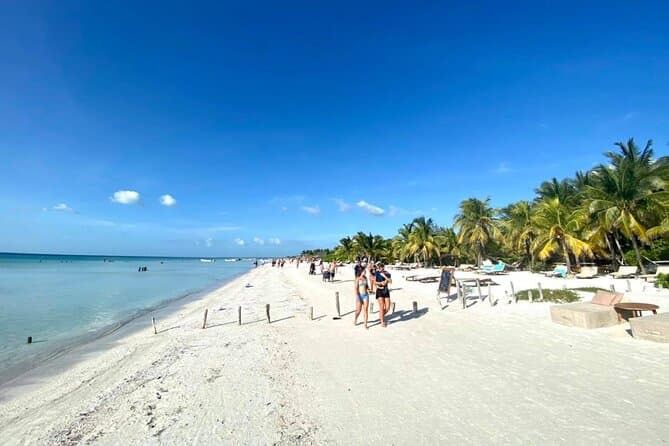 Compare Best Holbox Beach Tours