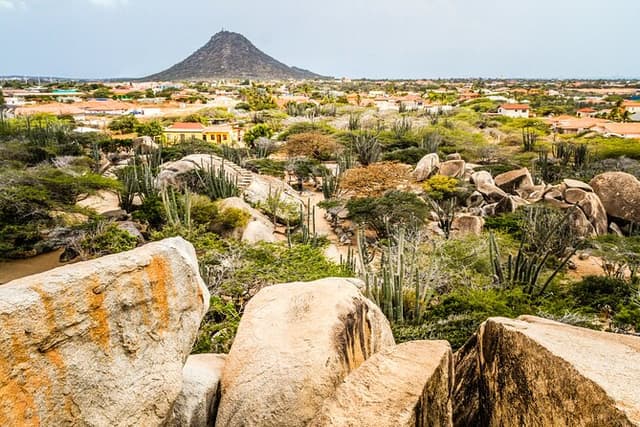 Aruba Sightseeing Tour with Transport