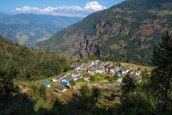 Best Mohare Danda Trekking Experience from Kathmandu