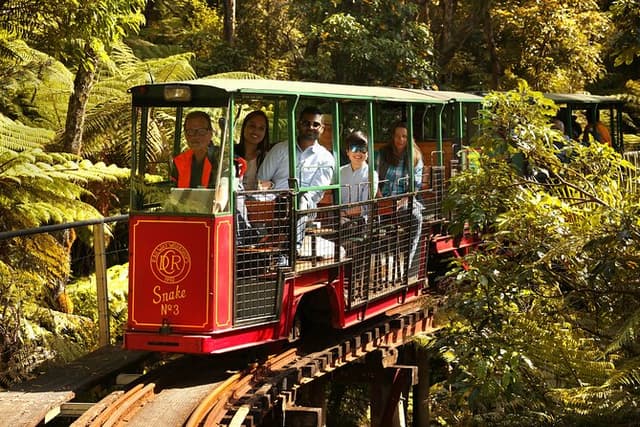 Captivating Railway Journey in Coromandel