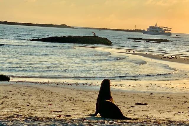 Isabela Island Tour in Galapagos with Kayak