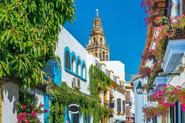 Cordoba Mosque-Cathedral & City Private Tour