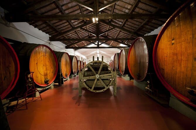 Modena Balsamic Vinegar Tasting