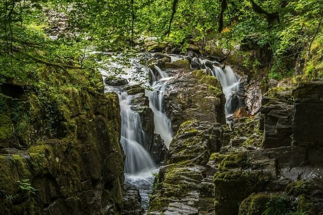 Loch Ness Cruise, Scenic Walk, Whisky & Glencoe Tour - Edinburgh
