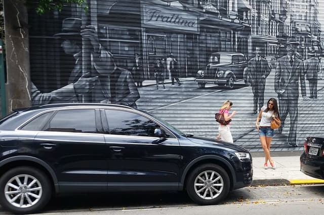 Private transfer from International airport to São Paulo city