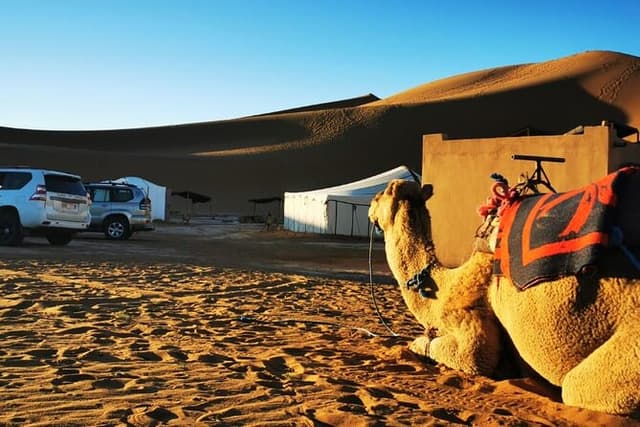 Desert Erg Chigaga Trip from Marrakech: 3 Days