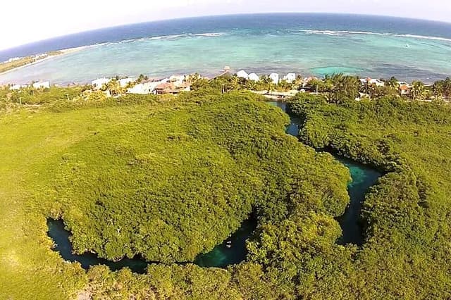 Discovering Breathtaking Cenotes in Tulum