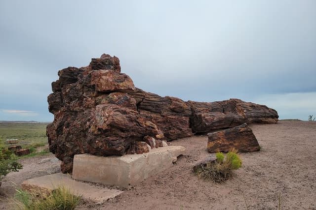 Sedona to Petrified Forest/Painted Desert Adventure PRIVATE TOUR!