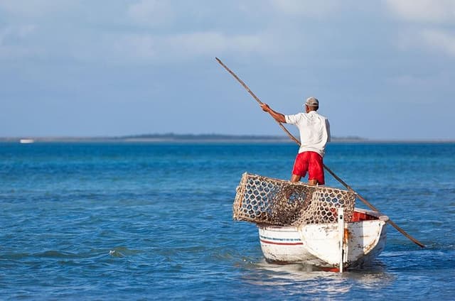 The Best of East: Full-Day All-Inclusive Tour with 3 Park Visits