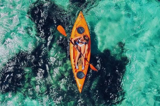 Kayak tour with aperitif and dolphins