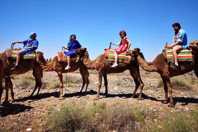 Best Atlas Mountains Excursions & Berber Village Tours