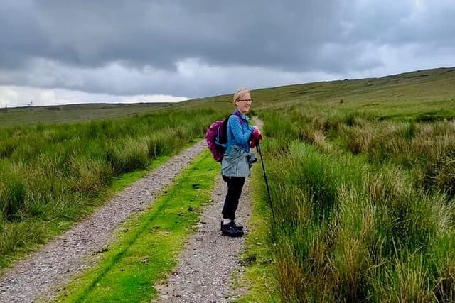 Bog Safari Hike
