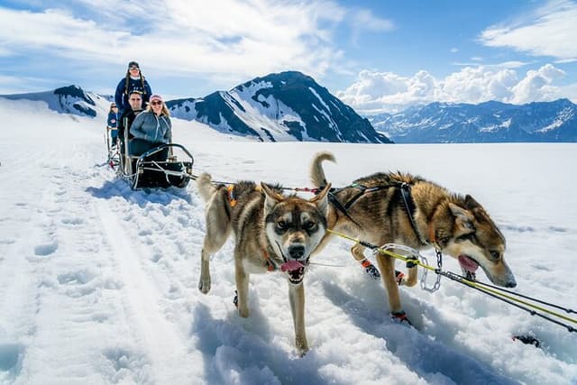 Alaska Helicopter and Glacier Dogsled Tour - ANCHORAGE AREA