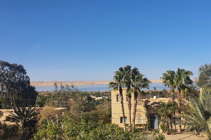 Best Fayoum Oasis Tours & Desert Adventures from Cairo