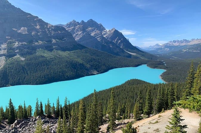Best Icefields Parkway Tours & Experiences