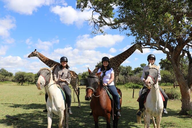 Unforgettable Horseback Safaris Near Pretoria