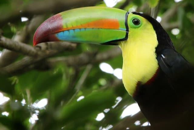 PRIVATE Guided Walk to the Curi Cancha Reserve