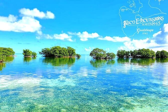Cousteau Reserve Boat Tour