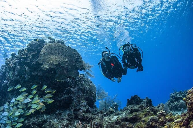 Get Certified: PADI Open Water Scuba Diving in Fujairah