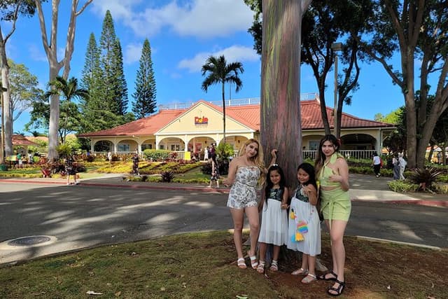 Waimea Botanical Garden & Waterfall and Pali Lookout