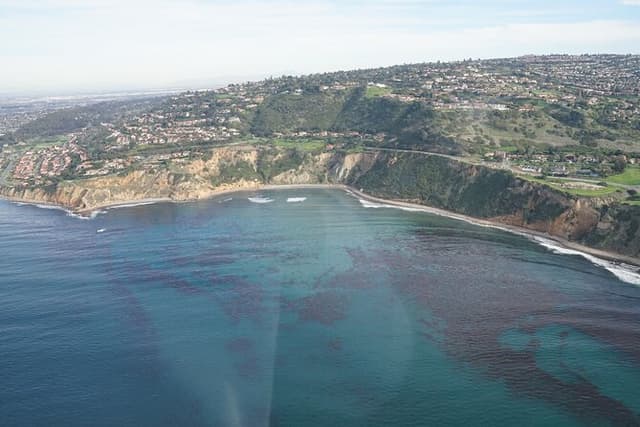 Private Helicopter Tour of Rancho Palos Verdes, Los Angeles, and Long Beach