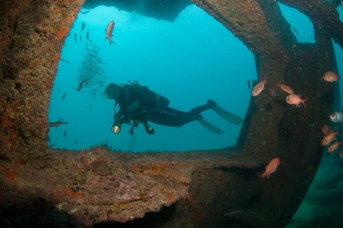 Compare Top-Rated Sal Diving Tours in Santa Maria