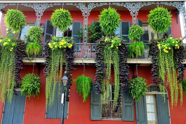 Private New Orleans City Tour with Local Expert Guide