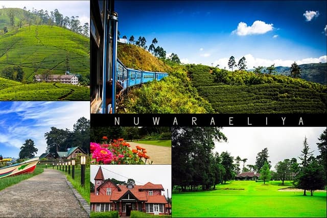 Kandy to Nuwara Eliya Day Trip – Little England & Tea Country
