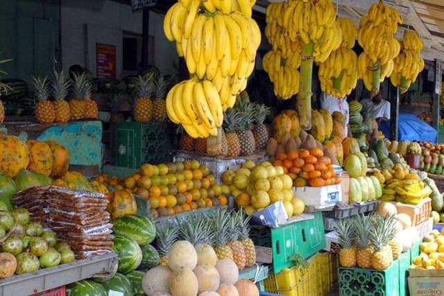 Punta Cana Half-Day Cultural Safari with Lunch and Drinks
