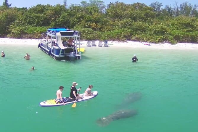 Best Siesta Key Kayak Tours & Sarasota Water Adventures