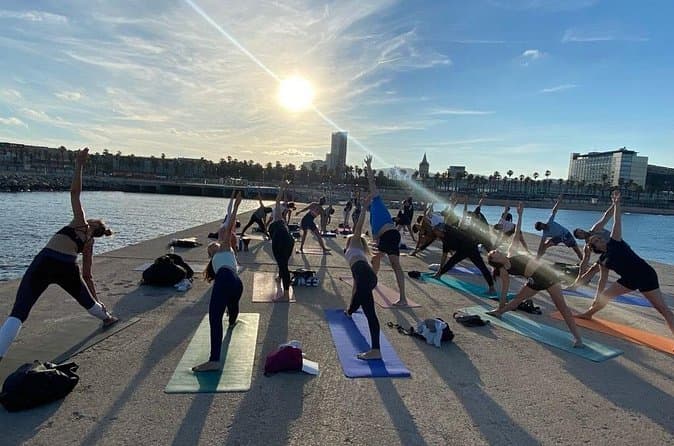 Compare Top-Rated Yoga & Sail Tours