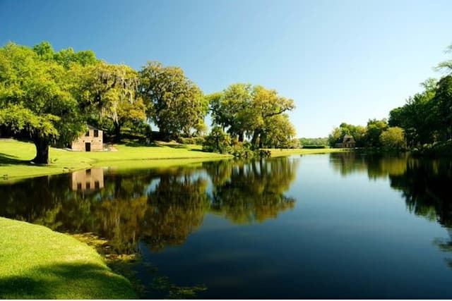 Middleton Plantation-3 hour guided tour- hotel pickup