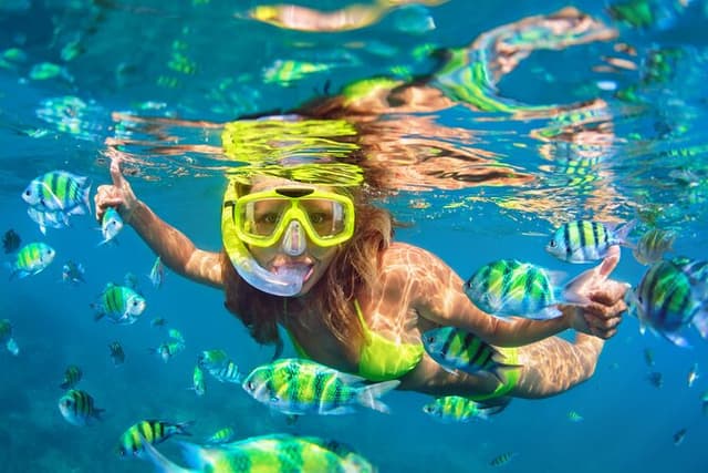 Blue Lagoon Bali Snorkeling Experience with Lunch & Optional Tour