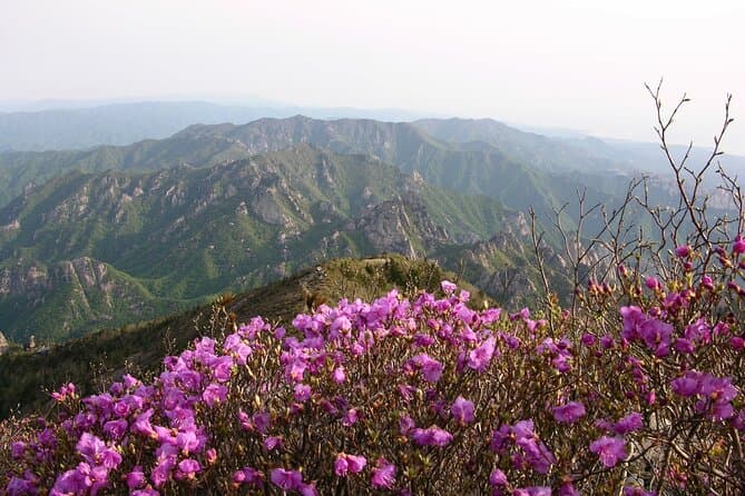 Mt. Seorak & Nami Island Full-Day Tour