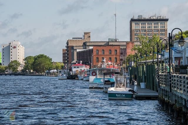 Eagles Island 50 minute Narrated Boat Cruise