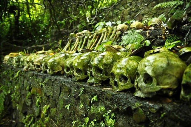Trunyan Cemetery, Hot Spring, Penglipuran Village, and Waterfall Tour