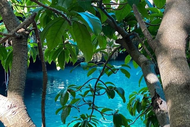 Maalum Zanzibar; City Tour; Le Saint Tropez; Turtle Tour; Kendwa