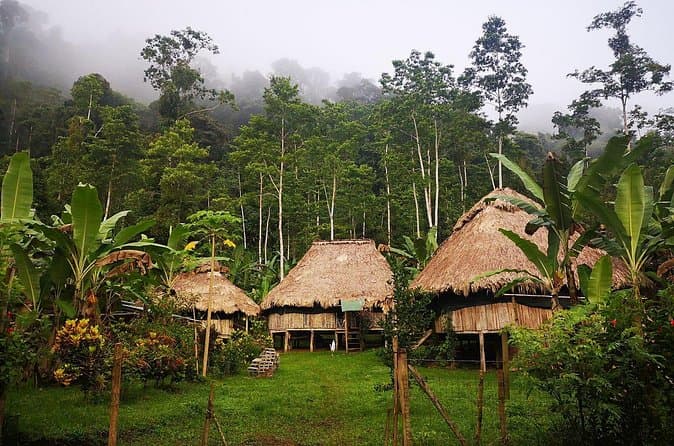 Compare Best BriBri Chocolate Tours in Limon