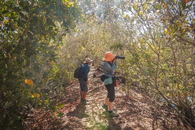 Bird Watching Mazatlán - Birding Tour