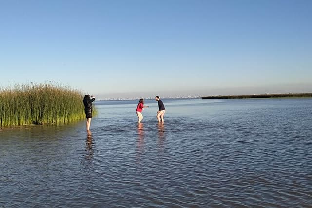 Tigre Safari Delta (4 hours PRIVATE boat tour, Buenos Aires view)