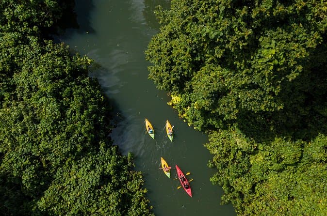 Best Port Vila Harbour Kayak Tours
