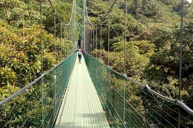 Best San Jose Zipline Adventures & Canopy Tours