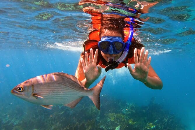 Best Key Largo Snorkel Tours & Underwater Adventures