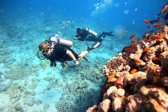 Explore Red Sea Wonders: Aqaba Scuba Diving Adventures