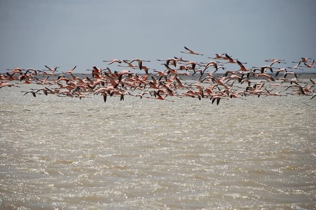 7 Days 6 Nights Alta Guajira Photographic Route Tour with Pick up