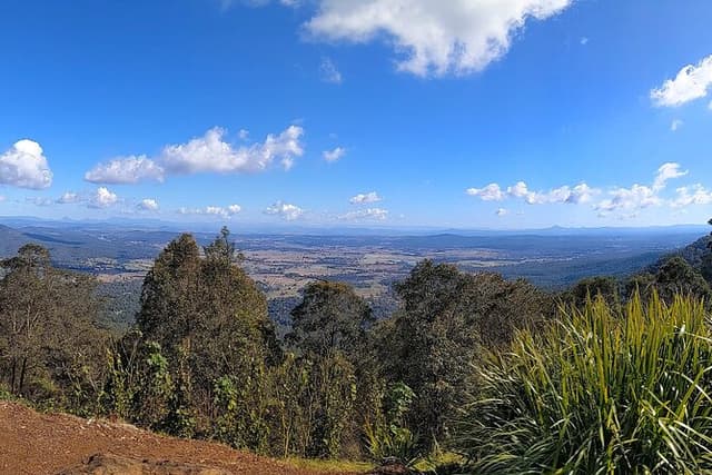 Tamborine Mountain and Paradise Point Tour from Brisbane